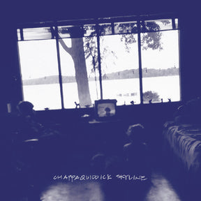 the album cover for Pernice Brothers - Chappaquiddick Skyline