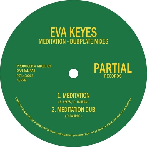 Meditation/Dubplate Mixes (Vinyl)