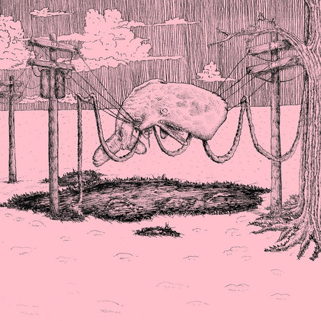 the album cover for Home Is Where - Whaler - White [Colored Vinyl] (Wht)