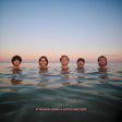 the album cover for Delights - If Heaven Looks A Little Like This [Colored Vinyl] (Org)