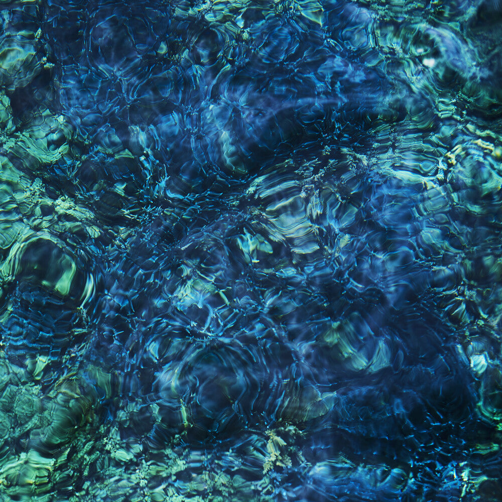 Luminescent Creatures [CD]