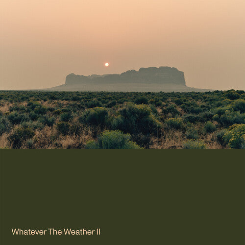 Whatever the Weather II - Green (Vinyl)