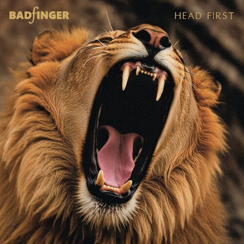 Head First: 50th Anniversary Special Edition (CD)