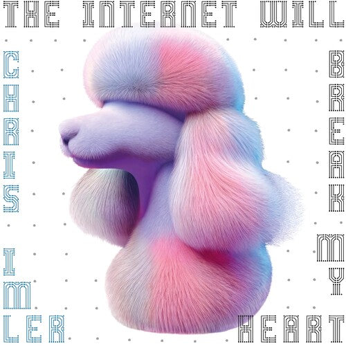 The Internet Will Break My Heart (Vinyl)