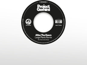 the album cover for Project Gemini - After The Dawn - Large Plants Remix / Darkness
