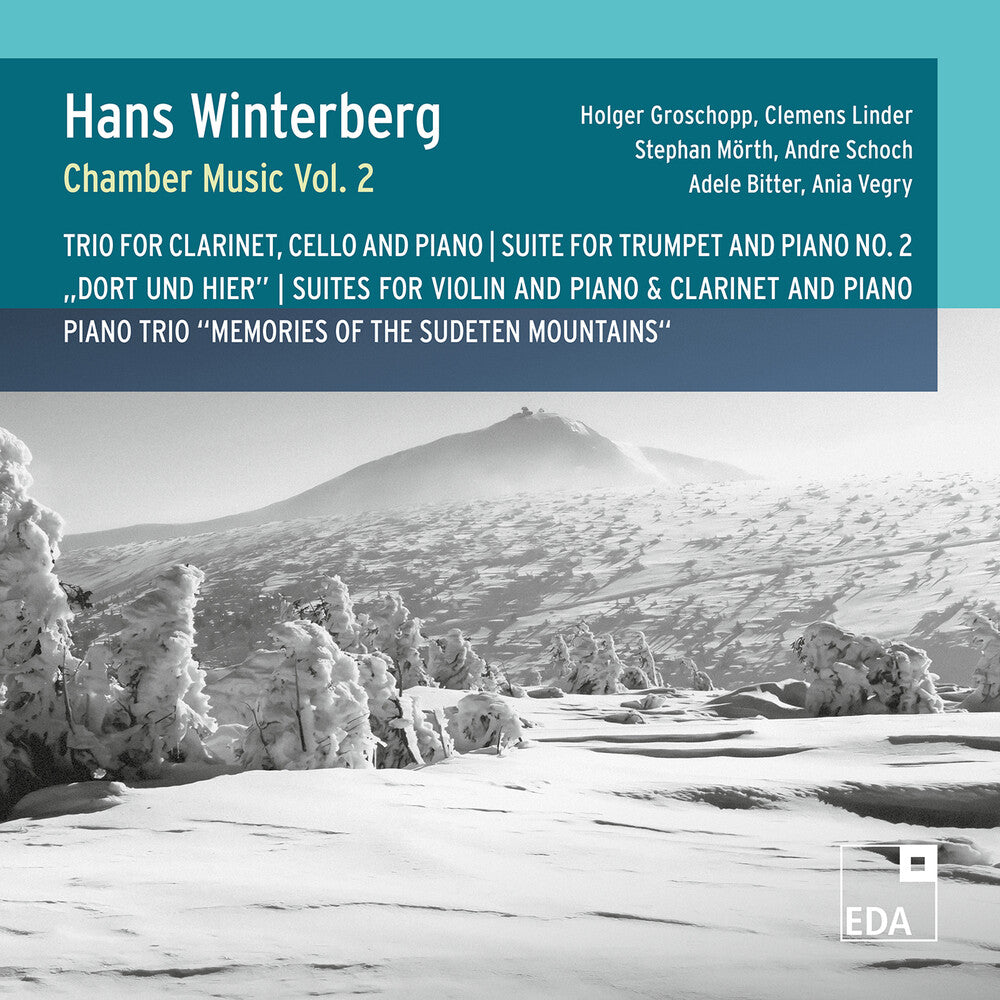 Chamber Music Vol. 2 [CD]
