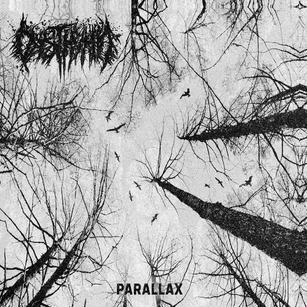 Parallax [CD]