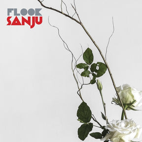 the album cover for Flook - Sanju (Uk)