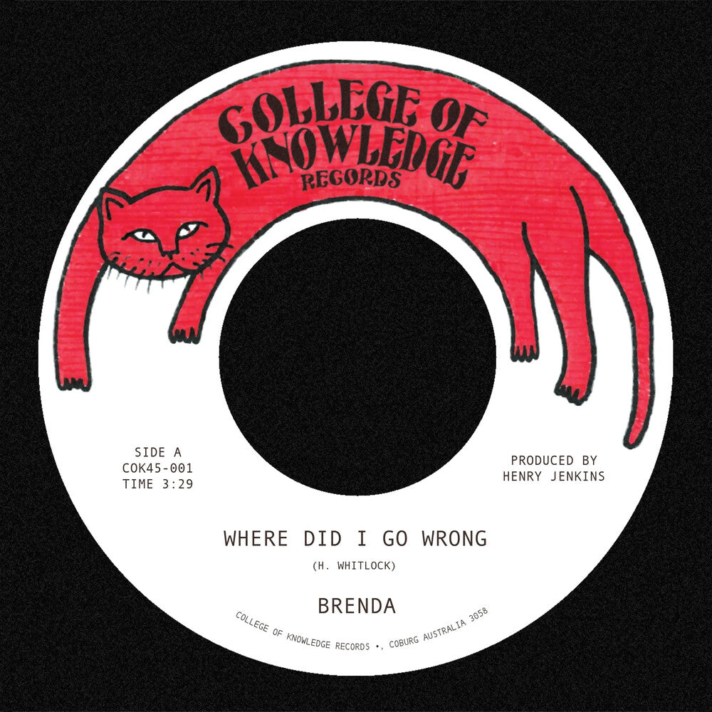 Where Did I Go Wrong B/W Family [LP]