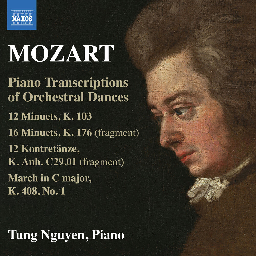 Piano Transcriptions Of Orchestral Dances [CD]