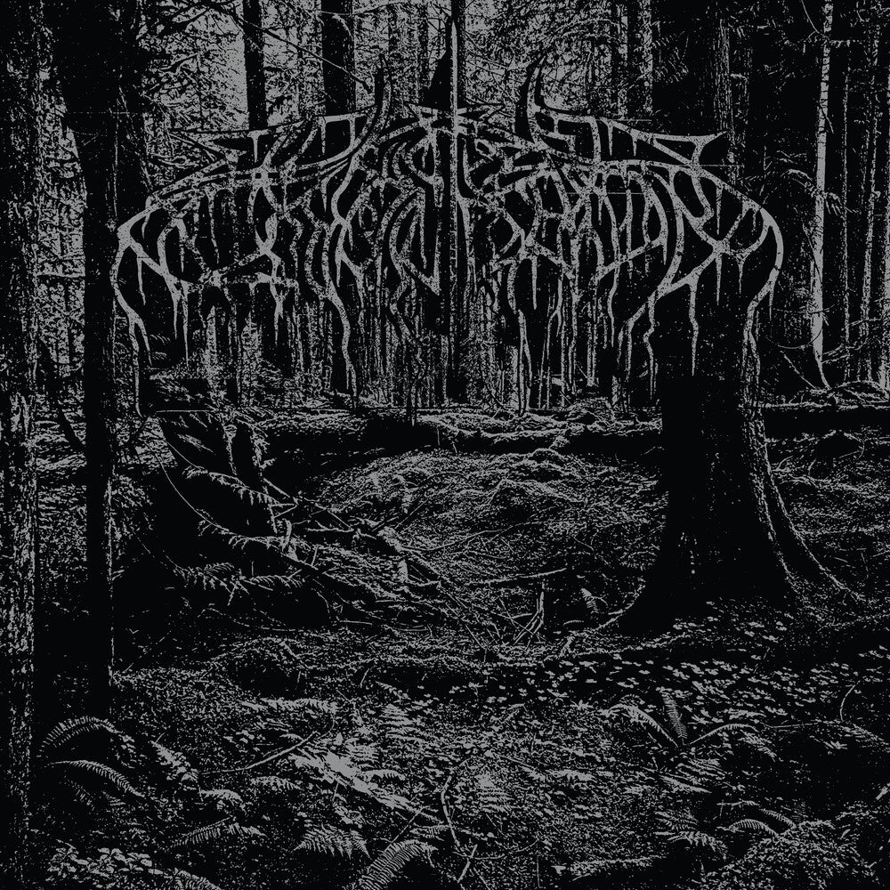 2005 Demo [LP Black Ice]