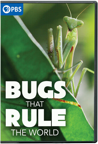 Bugs That Rule The World - Bugs That Rule The World - DVD