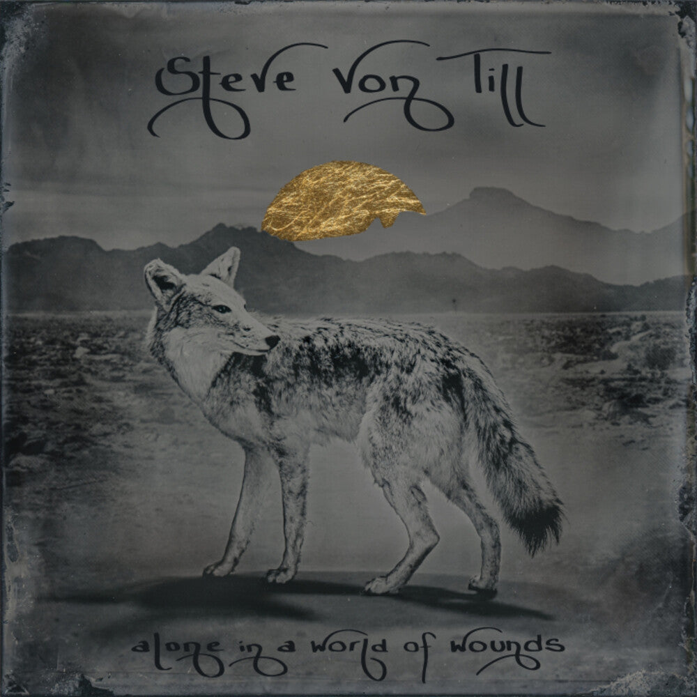 Alone In A World Of Wounds [CD]