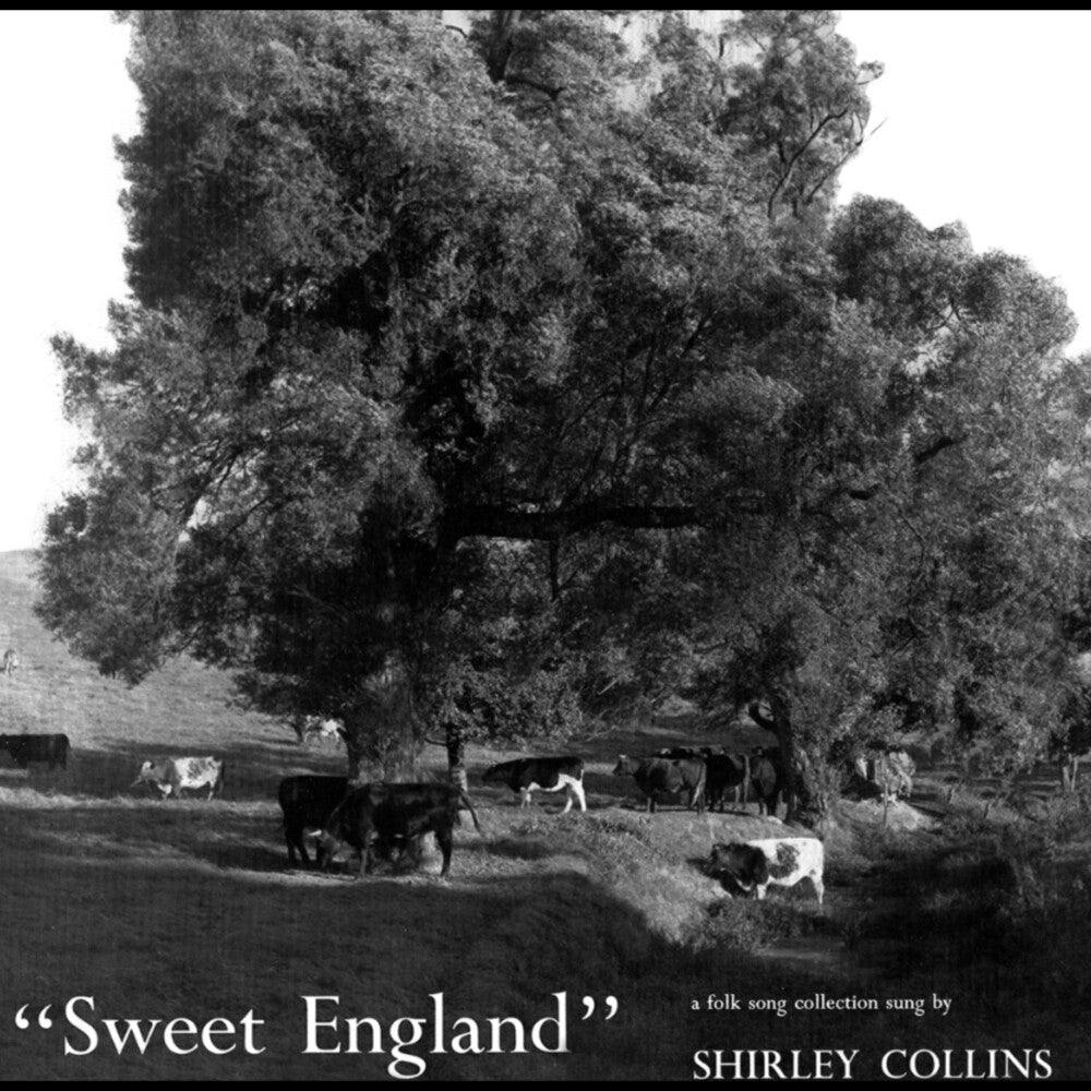 Sweet England [LP]