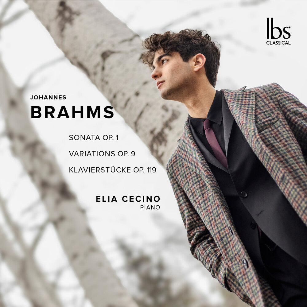 Brahms: Pno Works [CD]