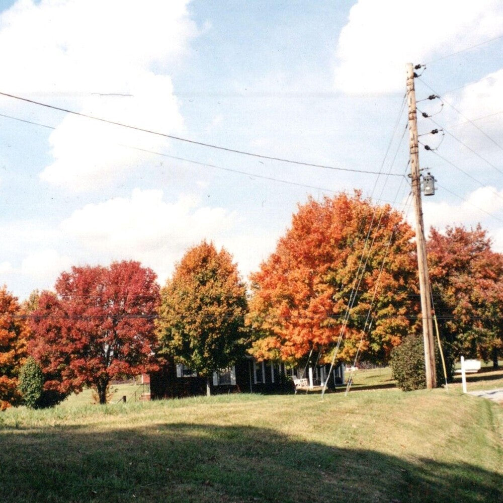 Things Are Gonna Be Alright (Extended Edition) [LP]