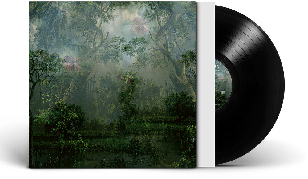 The Coloured Breeze Is a New Dimension [LP]