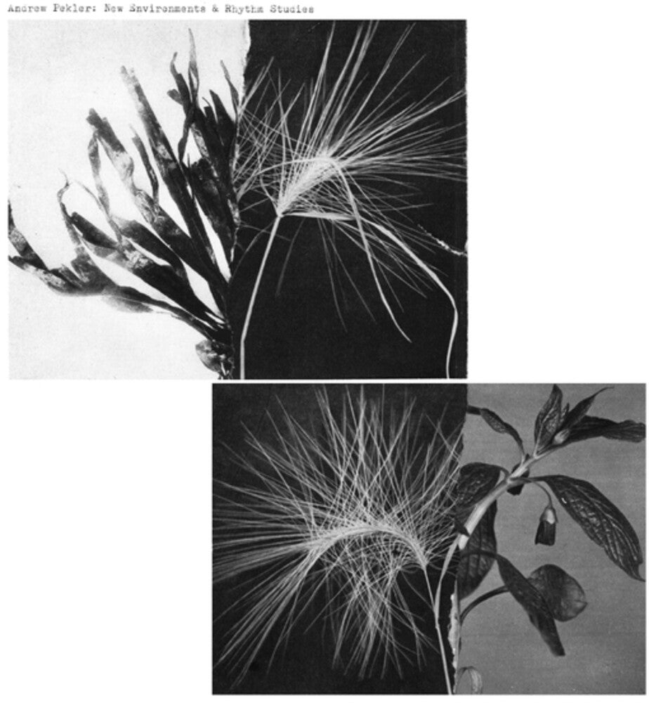 New Environments And Rhythm Studies [LP]