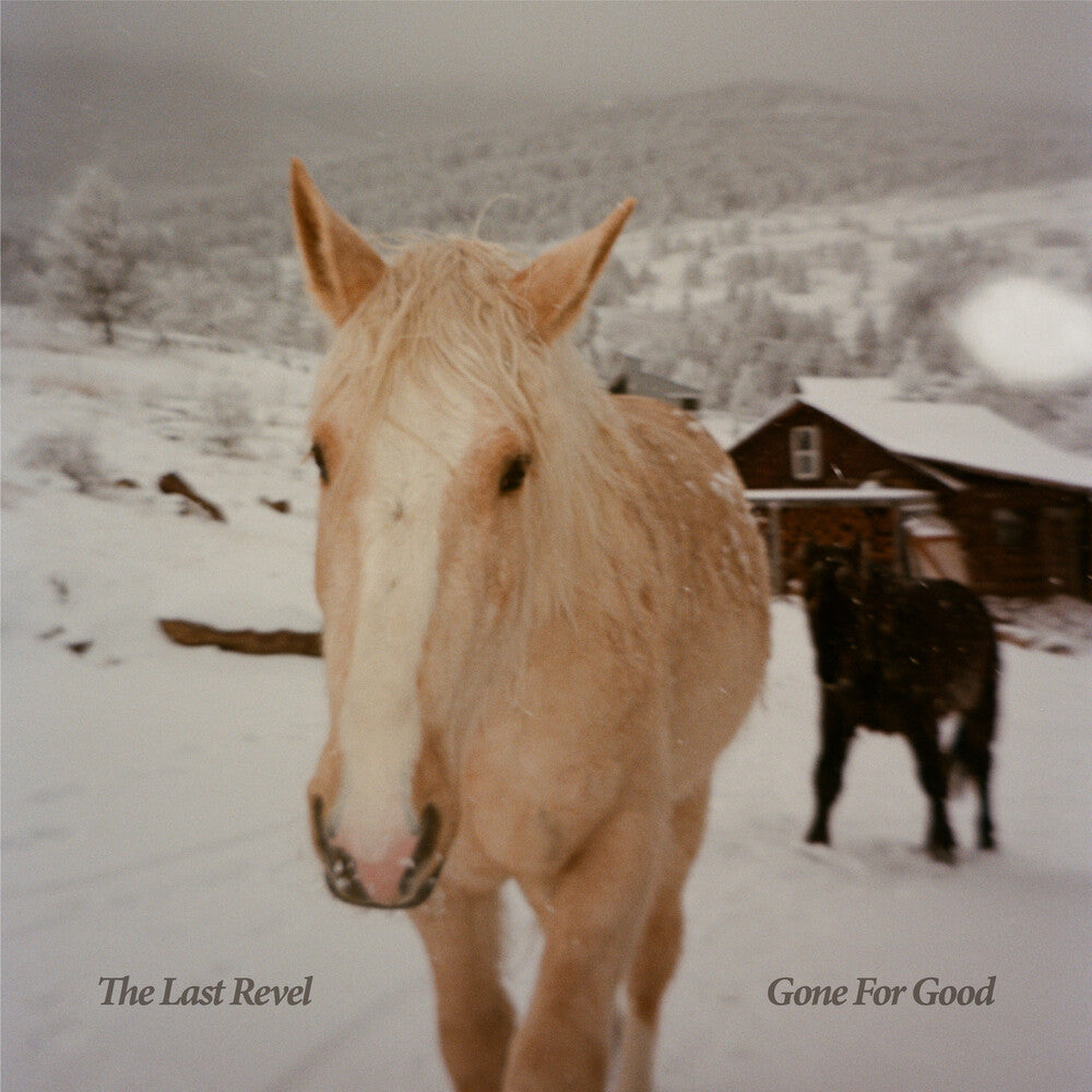 Gone For Good [CD]