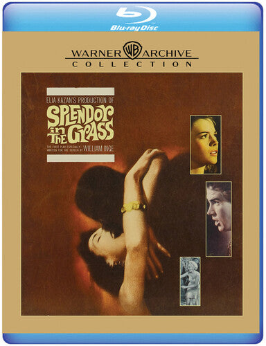 Splendor In The Grass - Splendor In The Grass - Blu-ray