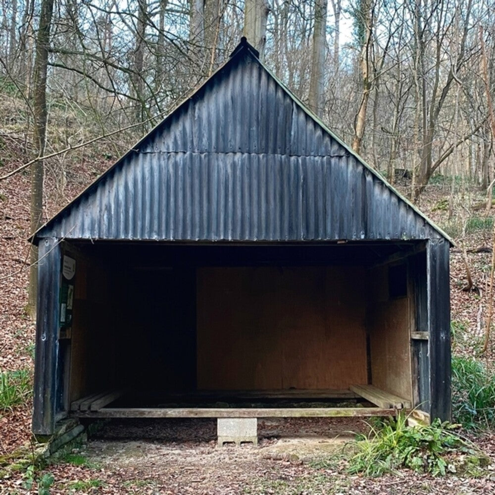 Waiting Room Volume 2 [CD]