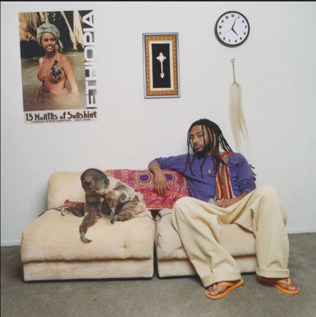 the album cover for Amine - 13 Months Of Sunshine - Limited Purple Colored Vinyl