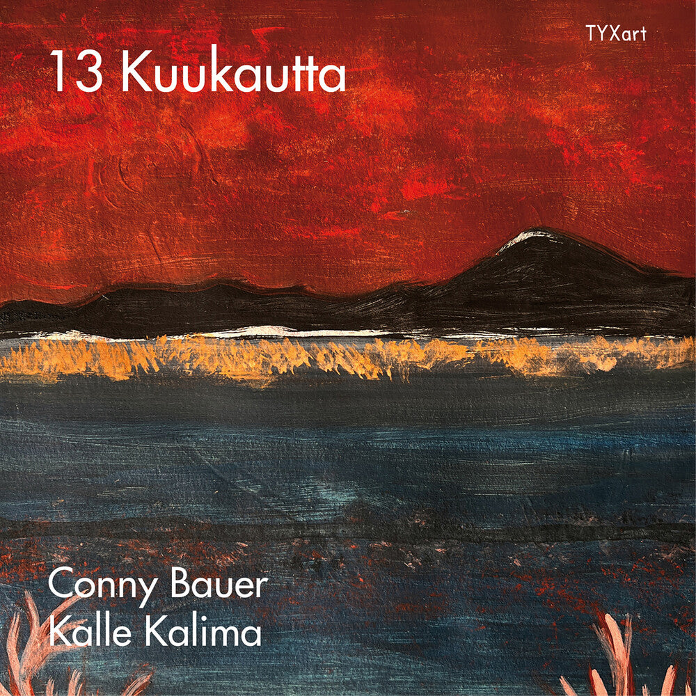 13 Kuukautta [CD]