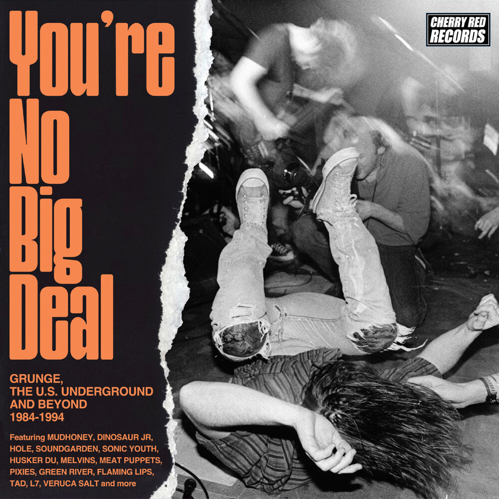 You're No Big Deal: Grunge Us Underground & Beyond [CD]