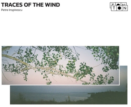 the album cover for Petre Inspirescu - Traces Of The Wind