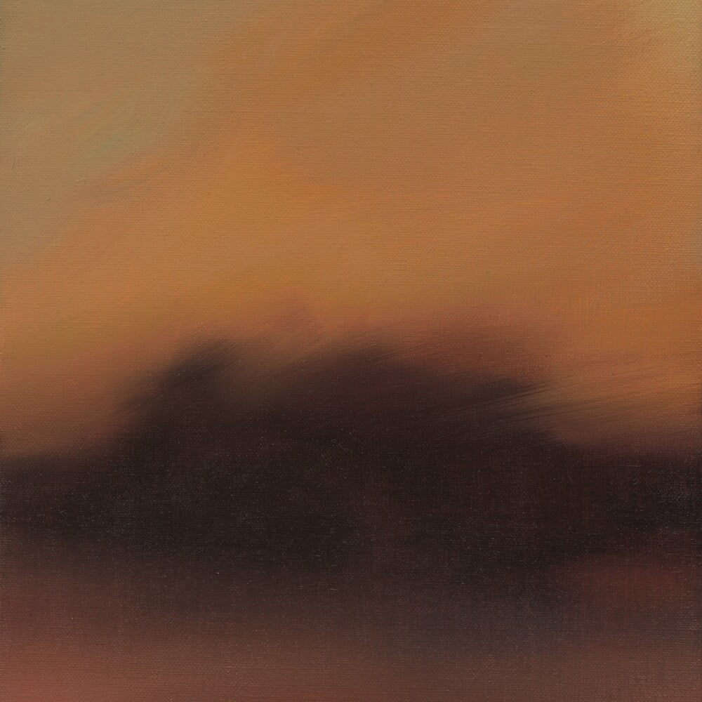 The Besnard Lakes Are The Ghost Nation [LP]