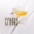 the album cover for Cranes - John Peel Sessions (1989-1990) [Colored Vinyl] (Wht)
