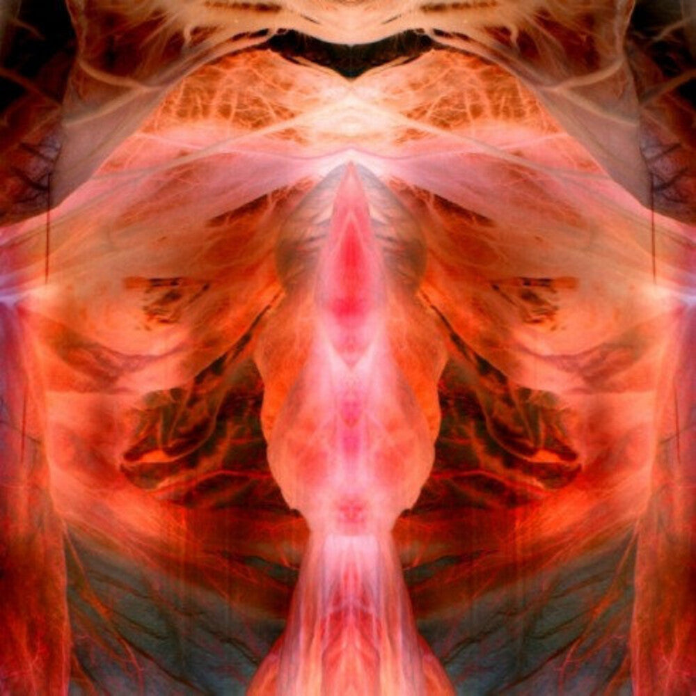 Annihilating Angel Or Surface Of The World [Reissue]