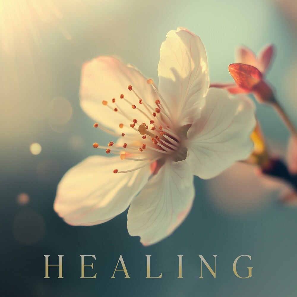 Healing / Various [CD]