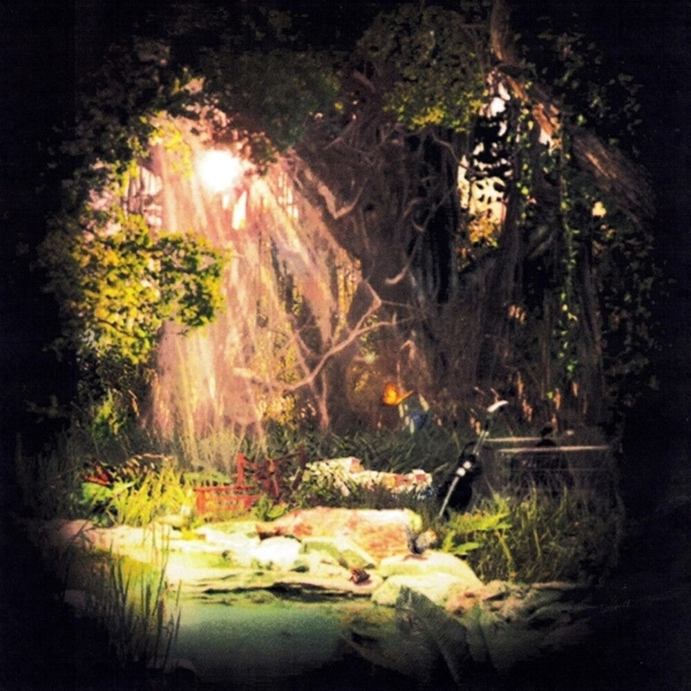 Saw The Feeling In The Heart Of Things [CD]