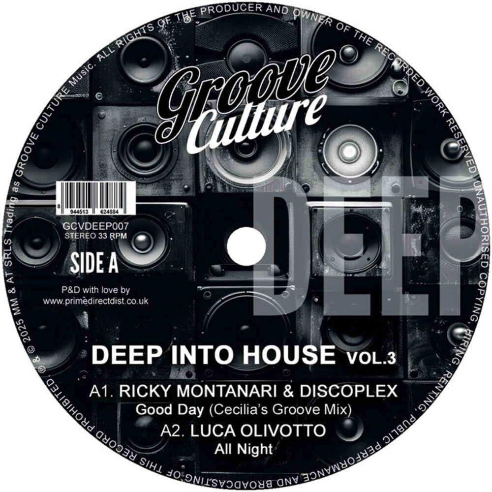 Deep Into House Vol. 3 / Various [12" Vinyl]