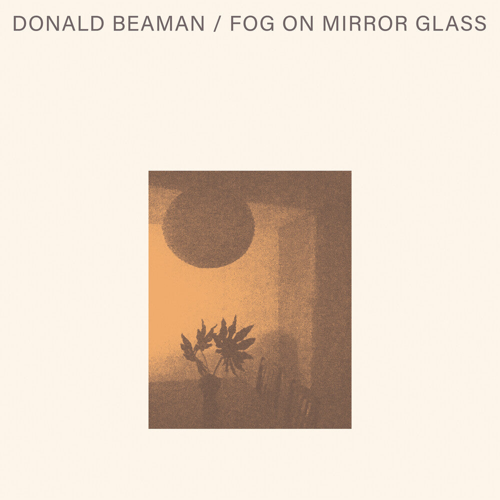 Fog On Mirror Glass [LP]