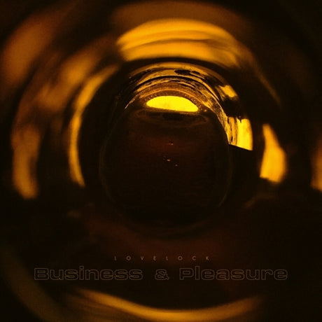 the album cover for Lovelock - Business & Pleasure