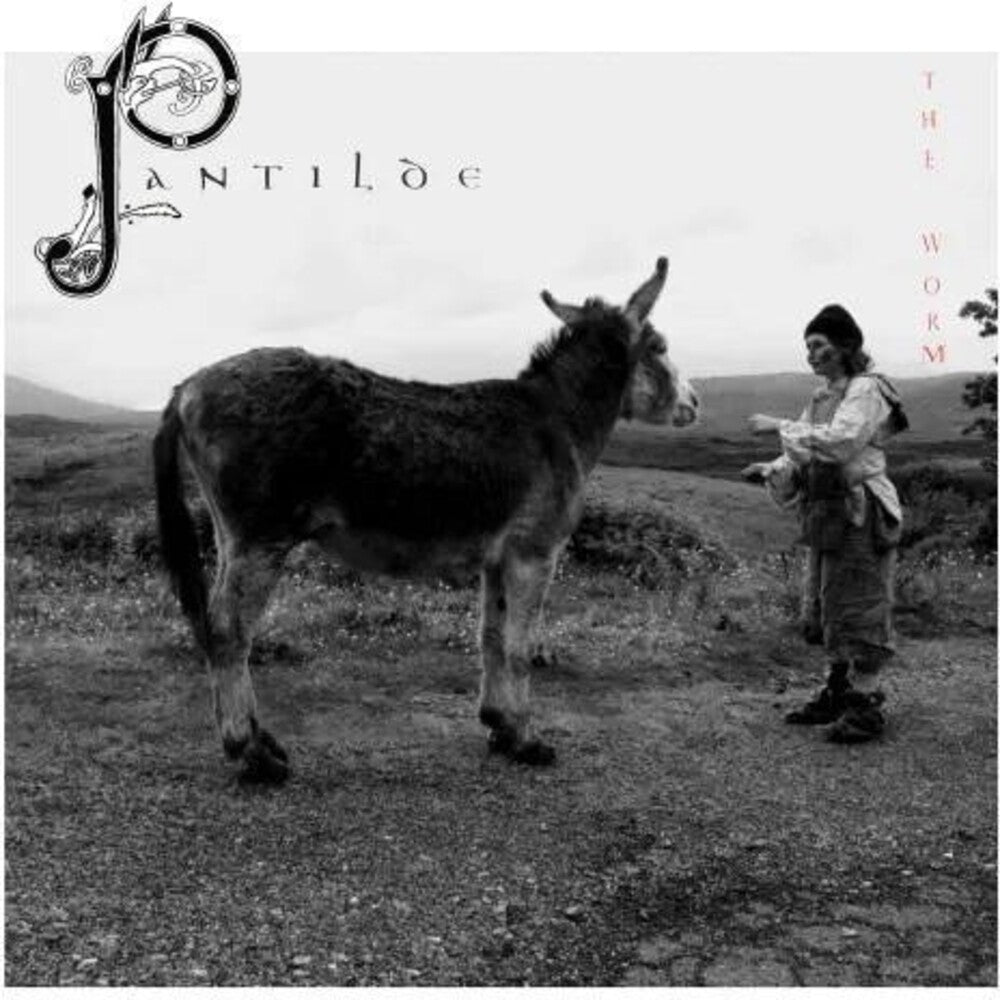 Pantilde [LP]