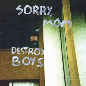 the album cover for Destroy Boys - Sorry Mom [Reissue]