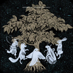 the album cover for Winterpills - This Is How We Dance