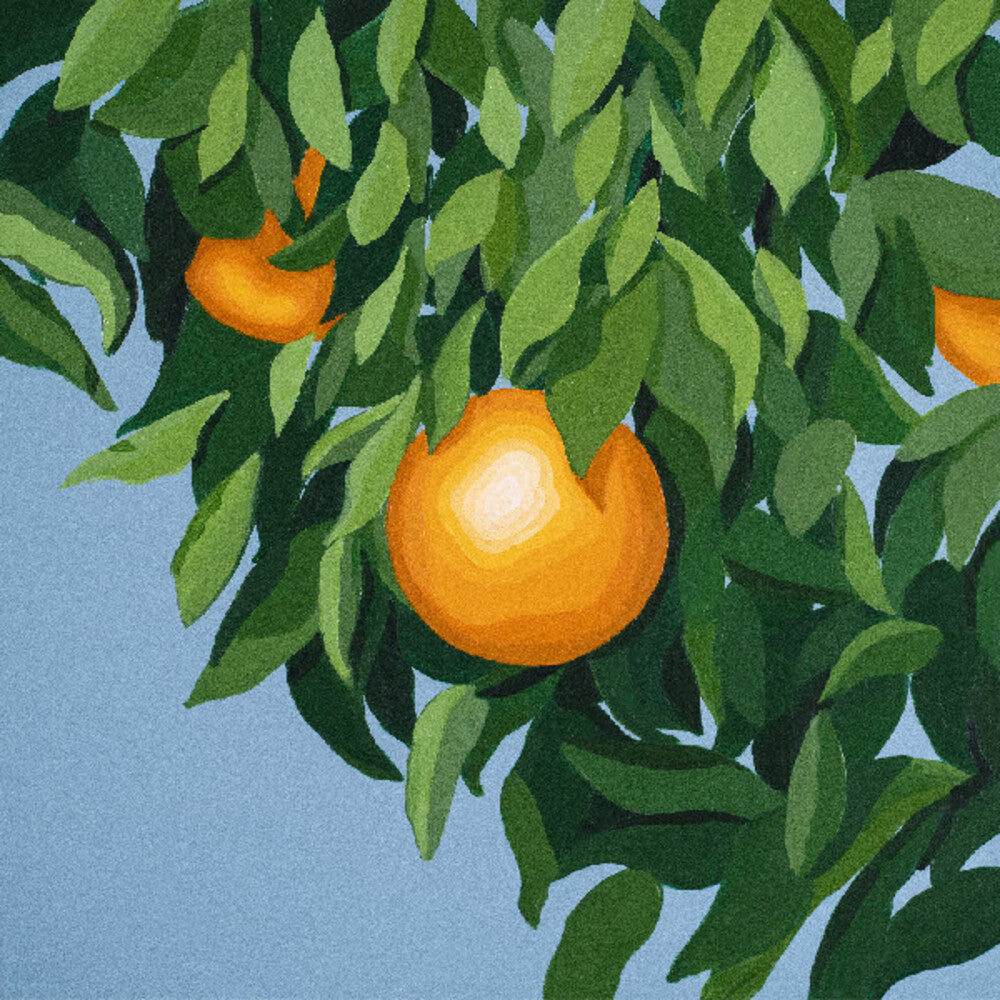 Pre-Order: For The First Time Again [LP]