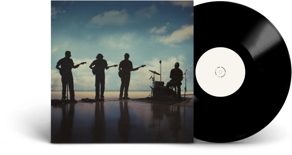 Fearless Flyers V [LP]