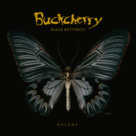 the album cover for Buckcherry - Black Butterfly - Yellow [Colored Vinyl] [Deluxe] (Ofgv) (Ylw)