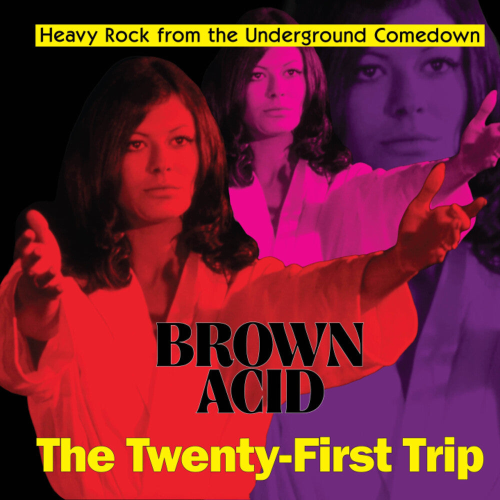 Various Artists - Brown Acid - The Twenty-First Trip [CD]