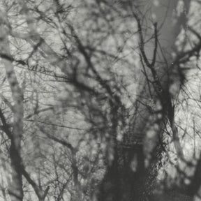 the album cover for Grouper - Way Their Crept [Reissue]