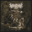 the album cover for Waldgefluster - Knochengesange 2