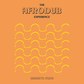 the album cover for Umberto Echo - Afrodub Experience
