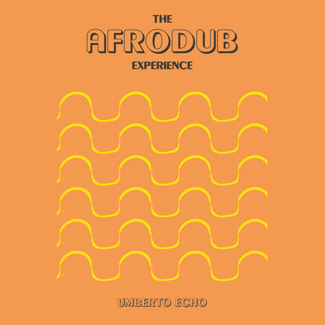 the album cover for Umberto Echo - Afrodub Experience