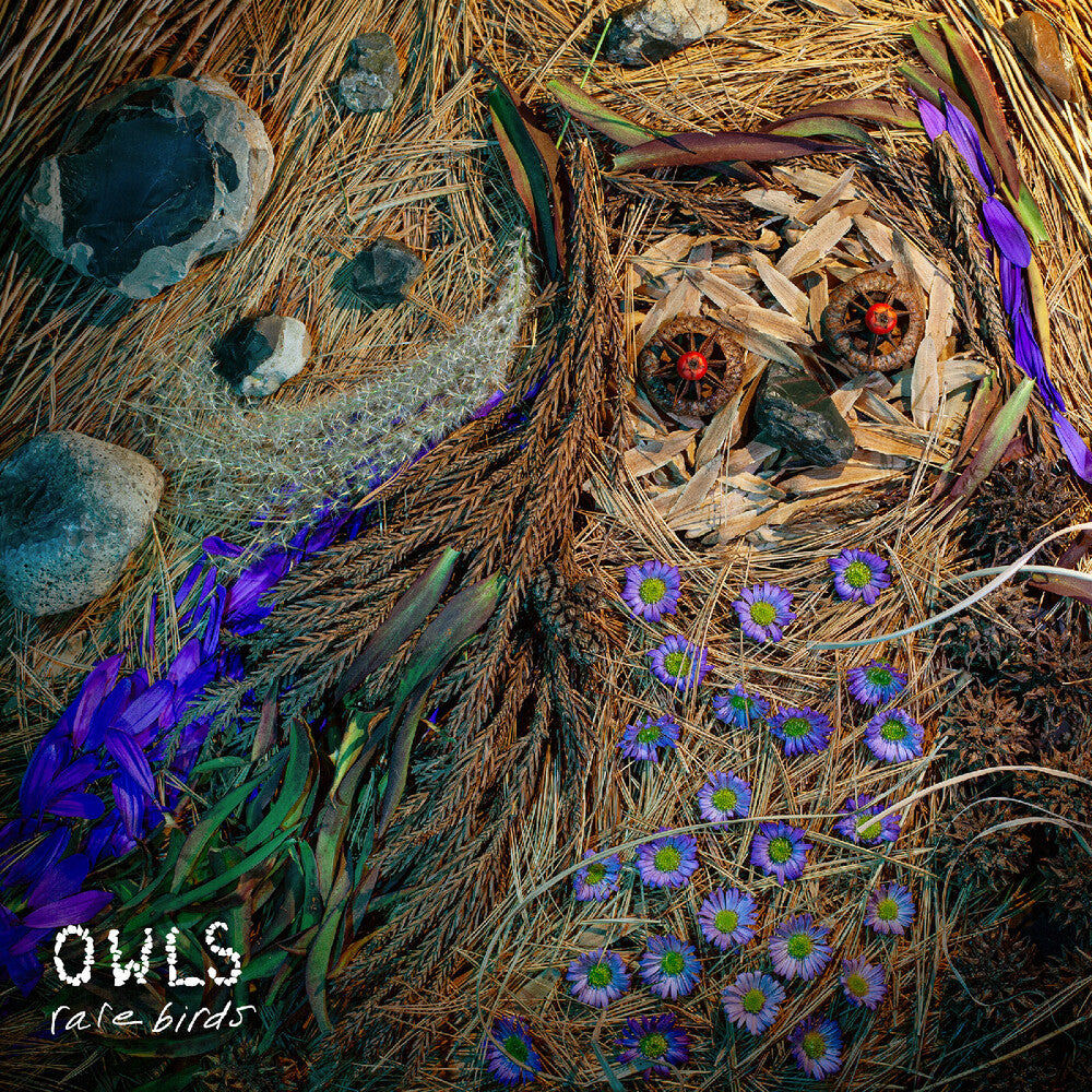 the album cover for Owls - Rare Birds