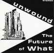 the album cover for Unwound - Future Of What [Colored Vinyl] (Ylw) (Can)